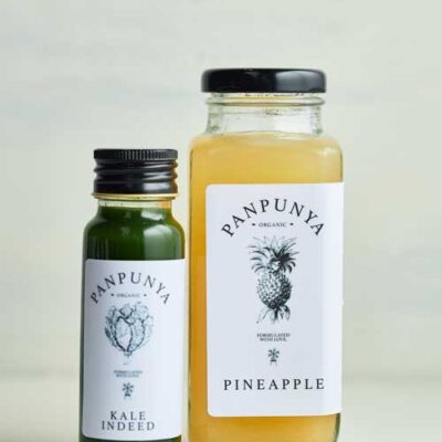 Pineapple Juice Plus Kale Shot